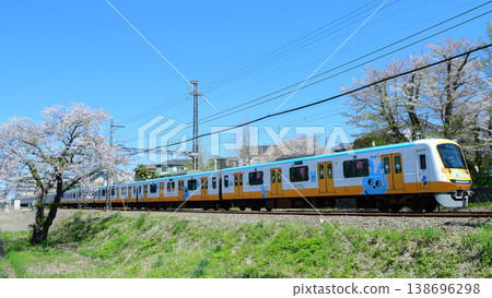 櫻花盛開的最後階段，以及小田急5000系列5055F型摩可龍號列車。 138696298