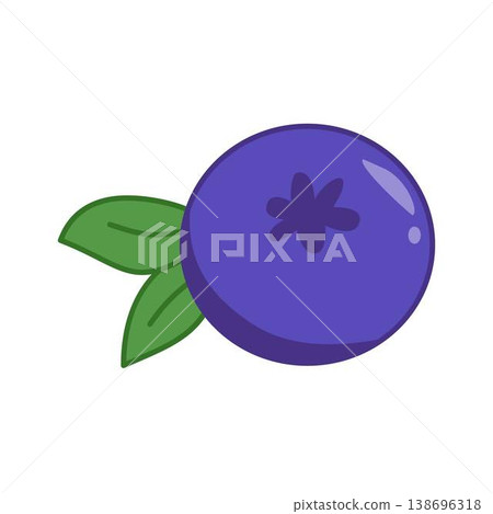 blueberry fruit with leaves illustration blueberry fruit with leaves illustration 138696318