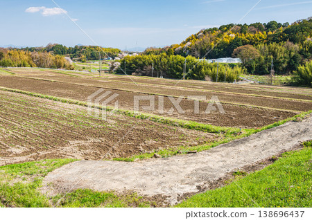 Terraced rice fields in Ogi, Otsu City, Shiga Prefecture Terraced rice fields in Ogi, Otsu City, Shiga Prefecture 138696437
