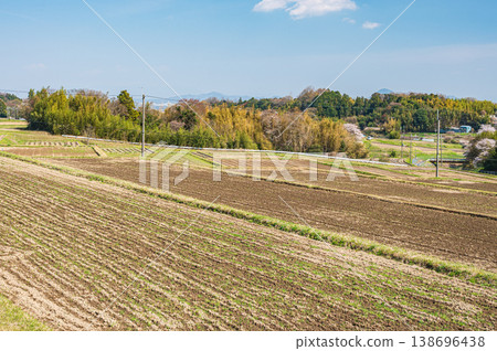 Terraced rice fields in Ogi, Otsu City, Shiga Prefecture 138696438