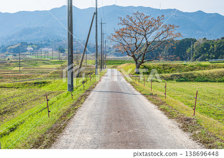 A single road through rice fields, Ogi, Otsu City, Shiga Prefecture A single road through rice fields, Ogi, Otsu City, Shiga Prefecture 138696448