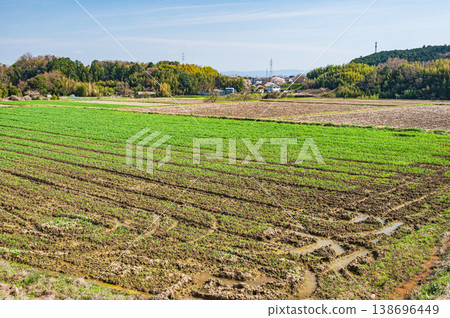 Terraced rice fields in Ogi, Otsu City, Shiga Prefecture Terraced rice fields in Ogi, Otsu City, Shiga Prefecture 138696449