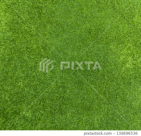 Green grass texture background, grass garden concept used for making green background football pitch, Grass Golf, green lawn pattern textured Green grass texture background, grass garden concept used for making green background football pitch, Grass Golf, green lawn pattern textured 138696536