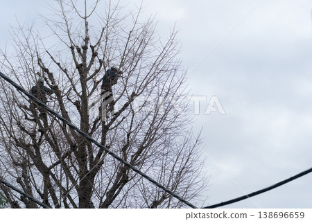 People who prune street trees 138696659