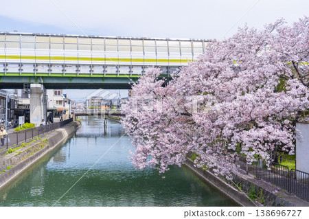 Cherry trees along the canal near Fujimori Station Cherry trees along the canal near Fujimori Station 138696727