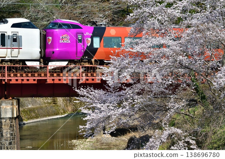 JR鐵道，列車，山陰本線，京都段，櫻花，盛開，特快列車，Sanga，包裝 138696780
