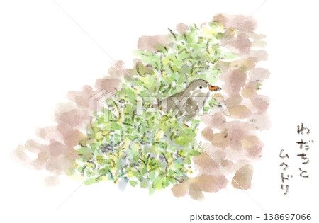 一幅水彩插畫，描繪了一隻椋鳥在春日田野中沿著輪胎印跡在草地上覓食的情景。 138697066