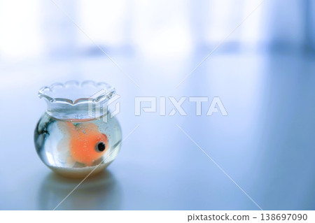 Image of a goldfish bowl Image of a goldfish bowl 138697090