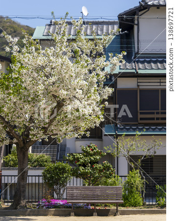 公園裡的櫻花和長椅 138697721