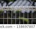On a rainy day, raindrops on the fence look like jewels. 138697807