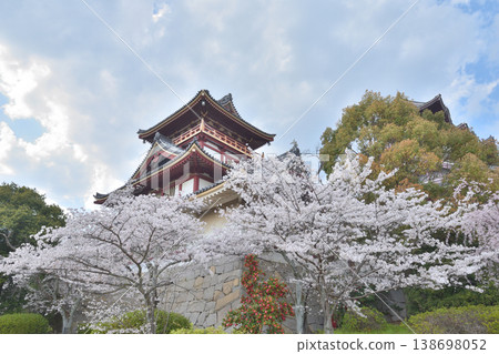 Sakura in Fushimi Momoyama Castle Sakura in Fushimi Momoyama Castle 138698052