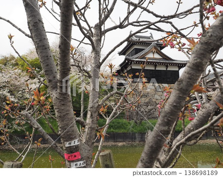 Yamatokoriyama castle 138698189