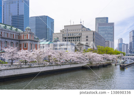 Osaka Nakanoshima: Osaka City Central Public Hall and cherry blossoms in full bloom Osaka Nakanoshima: Osaka City Central Public Hall and cherry blossoms in full bloom 138698336