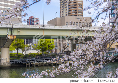 大阪中之島:堂島川(鳳龍橋)與盛開的櫻花。 大阪中之島:堂島川(鳳龍橋)與盛開的櫻花。 138698338