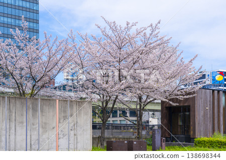 Scenery near Keihan Oebashi Station in Nakanoshima and cherry blossoms in full bloom. Scenery near Keihan Oebashi Station in Nakanoshima and cherry blossoms in full bloom. 138698344