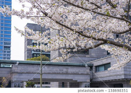 日本銀行大阪分行與盛開的櫻花交相輝映。 日本銀行大阪分行與盛開的櫻花交相輝映。 138698351