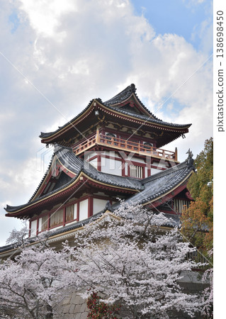 Sakura in Fushimi Momoyama Castle Sakura in Fushimi Momoyama Castle 138698450