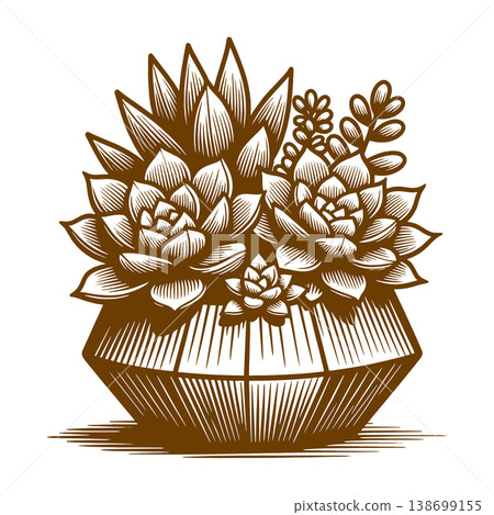 Succulent Plants in Decorative Pot raster Succulent Plants in Decorative Pot raster 138699155