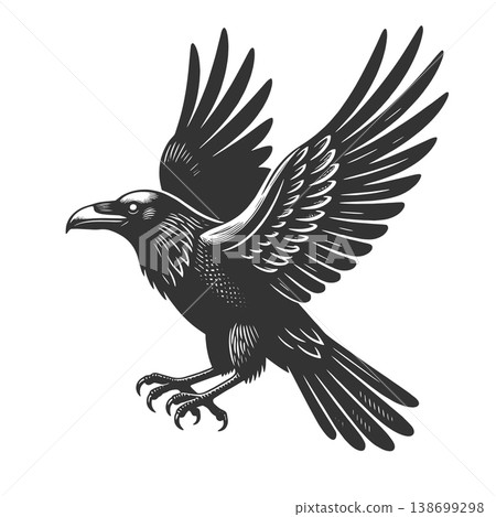 Flying Raven engraving sketch vector illustration 138699298