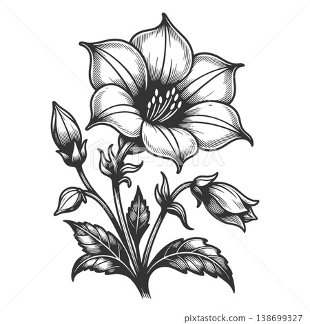 Blooming Flower With Buds Botanical Line raster Blooming Flower With Buds Botanical Line raster 138699327