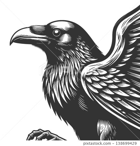 Raven engraving sketch vector illustration 138699429