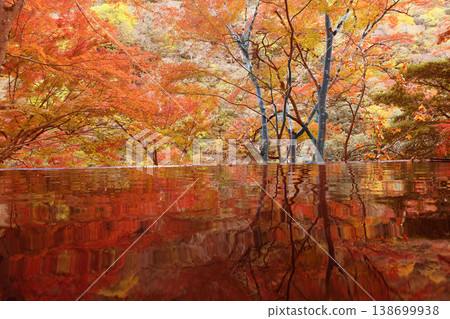 Kyoto - Yusai-tei Kyoto - Yusai-tei 138699938