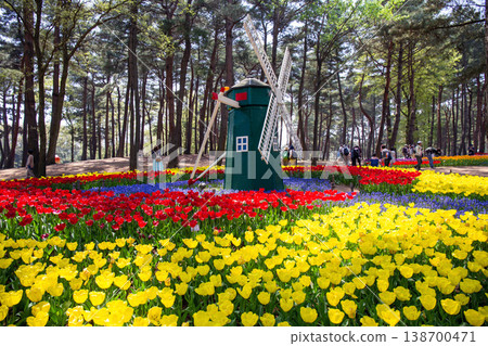 A park with tulips and windmills 138700471