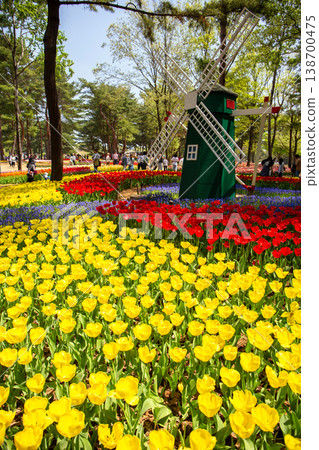 A park with tulips (vertical view) A park with tulips (vertical view) 138700475