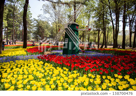 A park with tulips A park with tulips 138700476