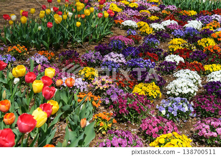 五顏六色的花園 五顏六色的花園 138700511