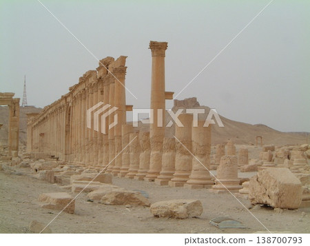 The now-vanished ruins of Palmyra, Syria The now-vanished ruins of Palmyra, Syria 138700793