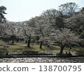Sakura no Mori 138700795