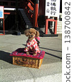 Dog celebration 138700842