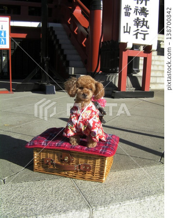 狗狗慶祝活動 狗狗慶祝活動 138700842