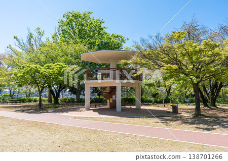 A spring walking path scene with fresh green leaves and new foliage at Yumemigasaki Zoo 1 A spring walking path scene with fresh green leaves and new foliage at Yumemigasaki Zoo 1 138701266
