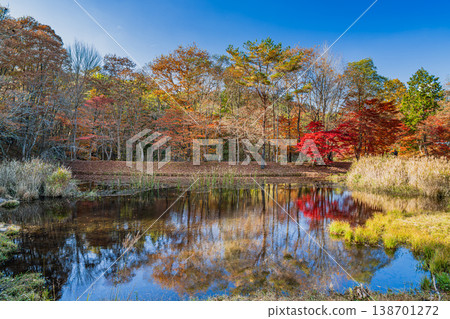 Takadoya Wetlands in Toyota City (Aichi Prefecture) Takadoya Wetlands in Toyota City (Aichi Prefecture) 138701272