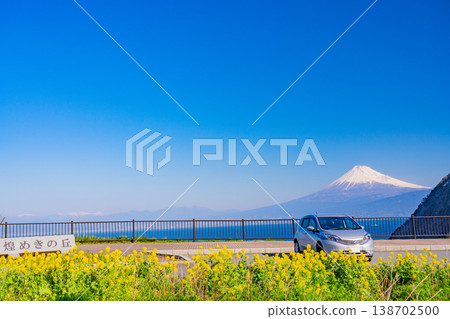 (Shizuoka Prefecture) Mount Fuji as seen from a glittering hill where famous flowers bloom. 138702500