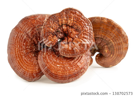Lingzhi or Reishi mushroom isolated on white background with clipping path. Lingzhi or Reishi mushroom isolated on white background with clipping path. 138702573