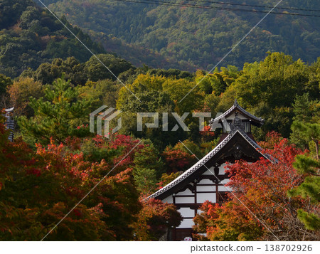 Tenryu-ji Temple, Kuri (monk's quarters), Autumn Leaves Tenryu-ji Temple, Kuri (monk's quarters), Autumn Leaves 138702926