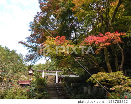 Hyuga Grand Shrine (Kyoto's Ise Shrine) Third Torii Gate - Autumn Leaves Hyuga Grand Shrine (Kyoto's Ise Shrine) Third Torii Gate - Autumn Leaves 138703212