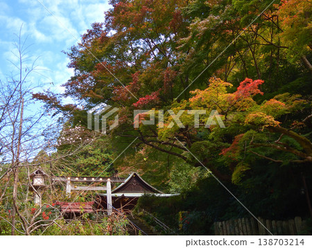 Hyuga Grand Shrine (Kyoto's Ise Shrine) Third Torii Gate - Autumn Leaves Hyuga Grand Shrine (Kyoto's Ise Shrine) Third Torii Gate - Autumn Leaves 138703214