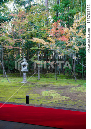 The moss-covered garden as seen from the veranda where the red-haired coin was drawn. The moss-covered garden as seen from the veranda where the red-haired coin was drawn. 138703231