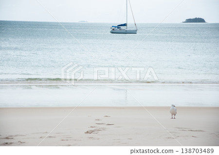 A landscape with seagulls A landscape with seagulls 138703489