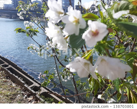 River scenery, walking path River scenery, walking path 138703801