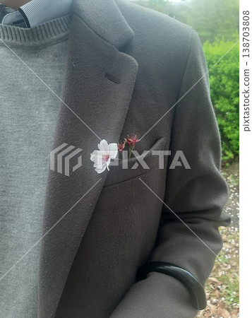 Cherry blossom petals in the coat pocket 138703808