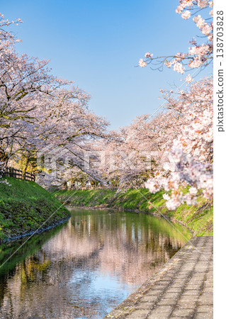 春日里,櫻花樹倒映在河面上,構成了一個美麗的景象。 春日里,櫻花樹倒映在河面上,構成了一個美麗的景象。 138703828