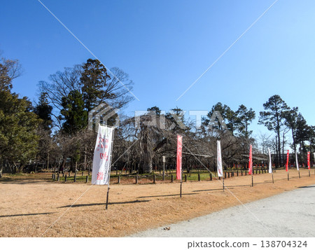 上賀茂神社(加茂和計一土神社)新年快樂 上賀茂神社(加茂和計一土神社)新年快樂 138704324