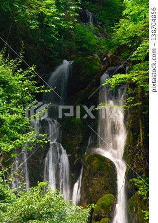 In early summer, a small waterfall can be seen at Kanzaki in Miyama-cho, Yamagata City, Gifu Prefecture. 138704856