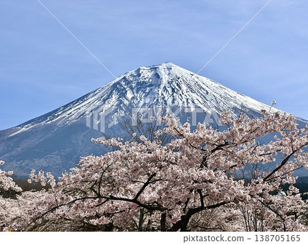 富士山和櫻花 138705165