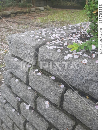 櫻桃花瓣散落在石階上 櫻桃花瓣散落在石階上 138705318